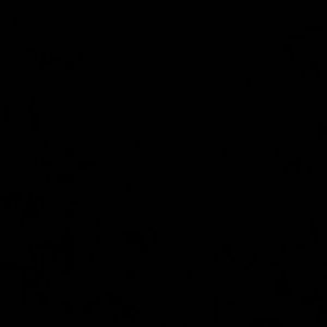 Meet your Posher, Ashely